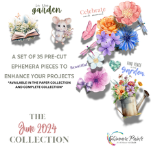 Load image into Gallery viewer, Color Kitz - The June 2024 Paper Collection