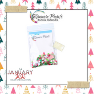 Bonuz Bundle: January 2025